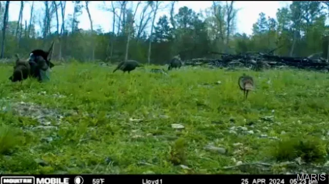 $1,337,000 | 382 Furnace Creek Road, Potosi, MO 63664