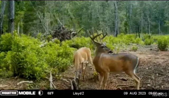 $1,337,000 | 382 Furnace Creek Road, Potosi, MO 63664