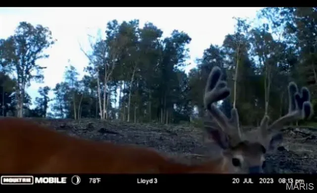 $1,337,000 | 382 Furnace Creek Road, Potosi, MO 63664