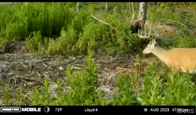 $1,337,000 | 382 Furnace Creek Road, Potosi, MO 63664