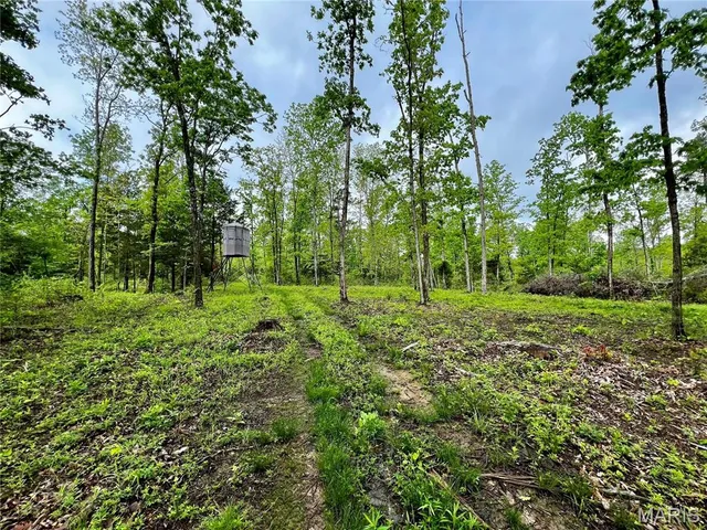 $1,337,000 | 382 Furnace Creek Road, Potosi, MO 63664