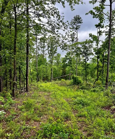 $1,337,000 | 382 Furnace Creek Road, Potosi, MO 63664