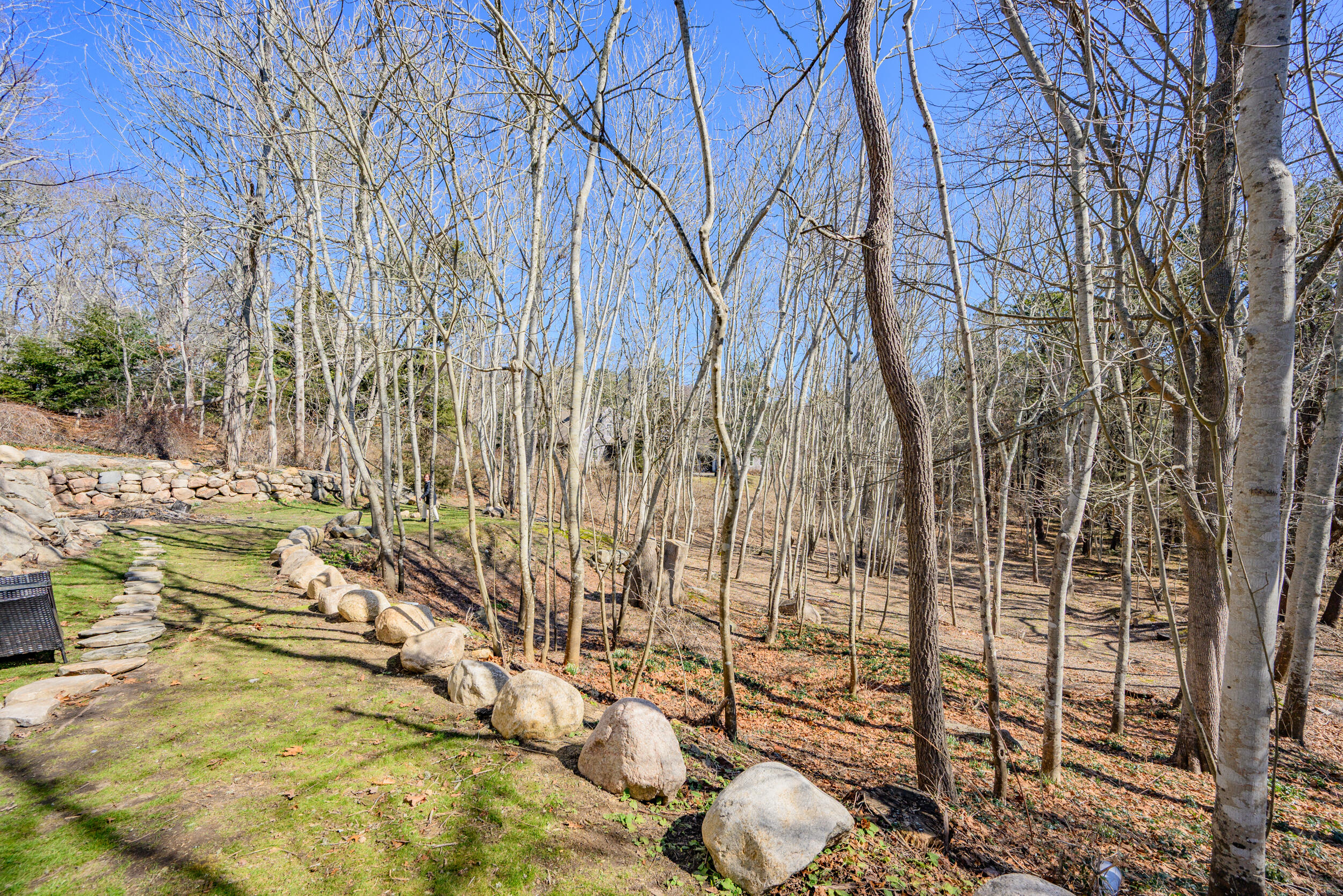 309 Great Fields Road Brewster, MA 02631 - Photo 39 of 44 309GF BackYard