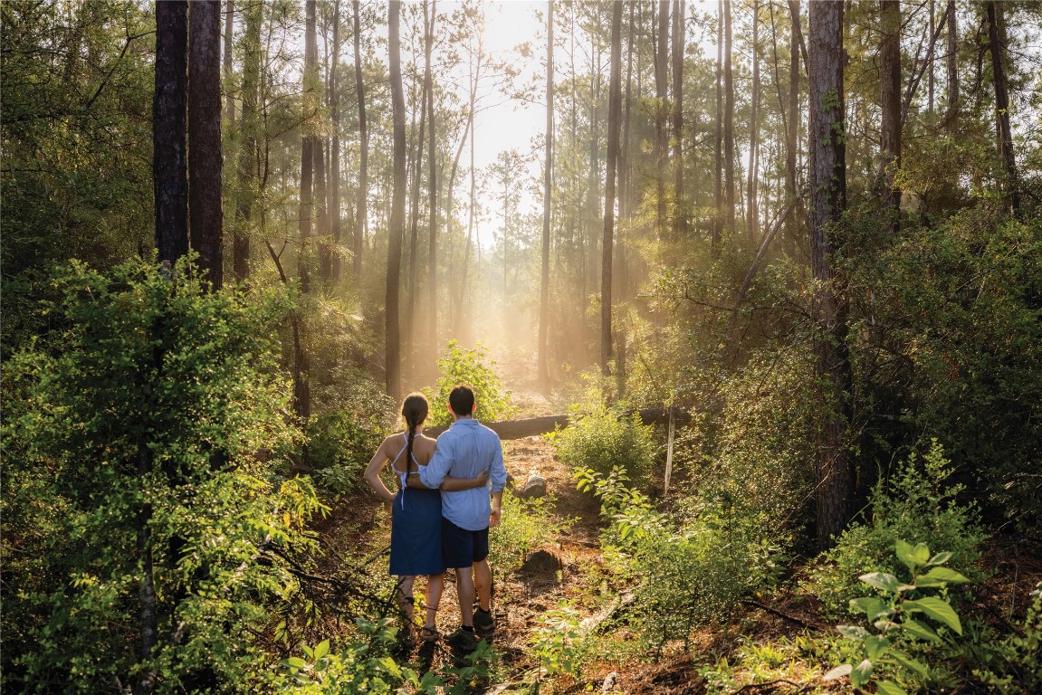 10795 Ruger Road Willis, TX 77378 - Photo 8 of 24