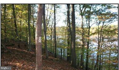 6539 Davis Ford Road Manassas, VA 20111 - Photo 2 of 5 Water Access with Ability to Build a Dock