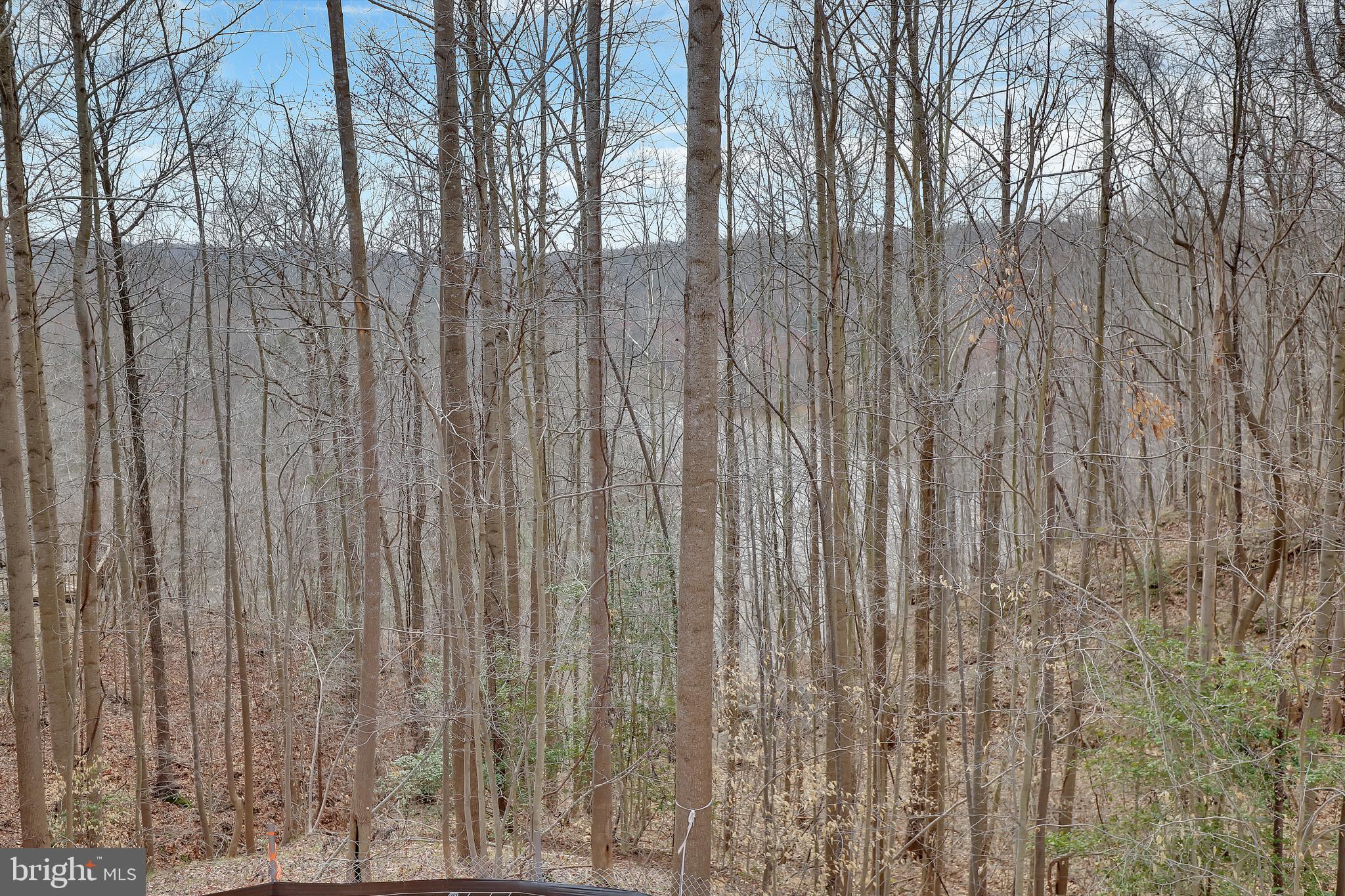6539 Davis Ford Road Manassas, VA 20111 - Photo 3 of 5 Water Views from Rear Yard