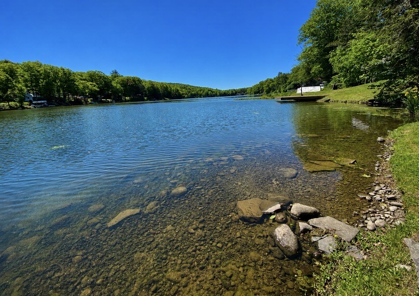 1323 Crystal Lake Road Hancock, NY 13783 - Photo 18 of 19 lake