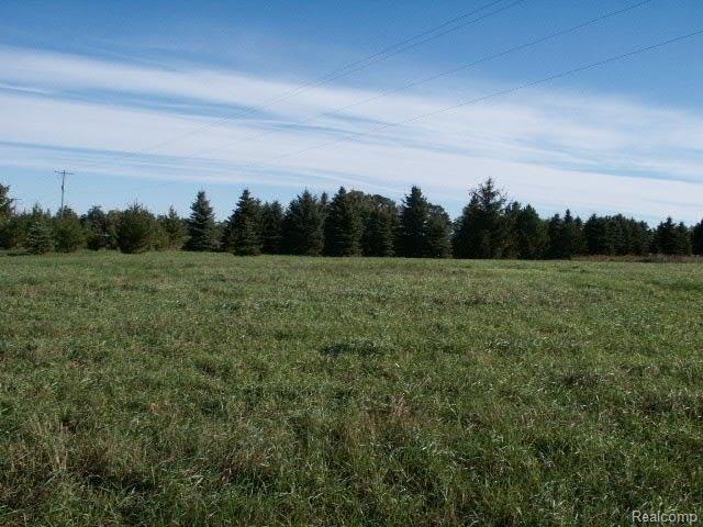 D Lamb Road Manchester, MI 48158 - Photo 1 of 11 PICT5376