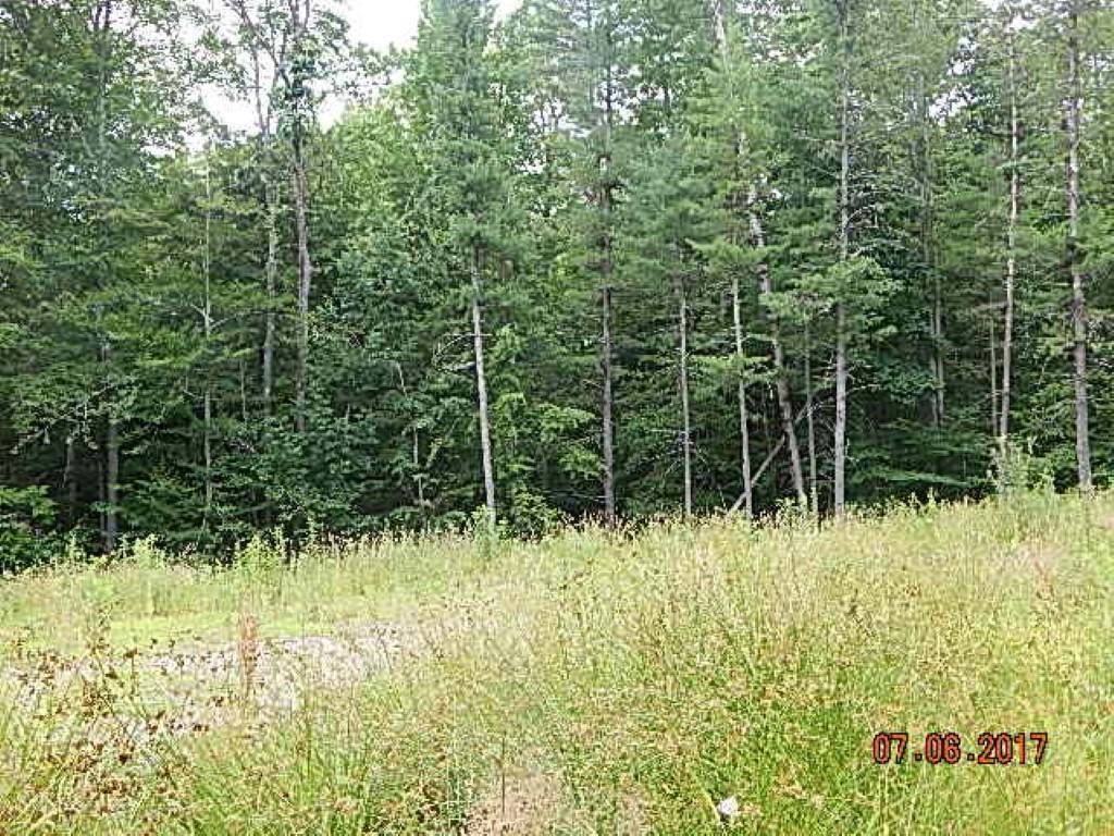 999 English Flats Road Hallstead, PA 18822 - Photo 6 of 9 Gallery Image 6