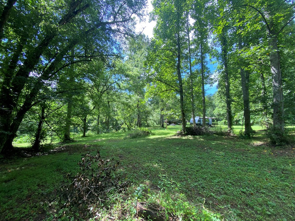 Lot 6 Nottley River Road Murphy, NC 28906 - Photo 12 of 22 Gallery Image 12