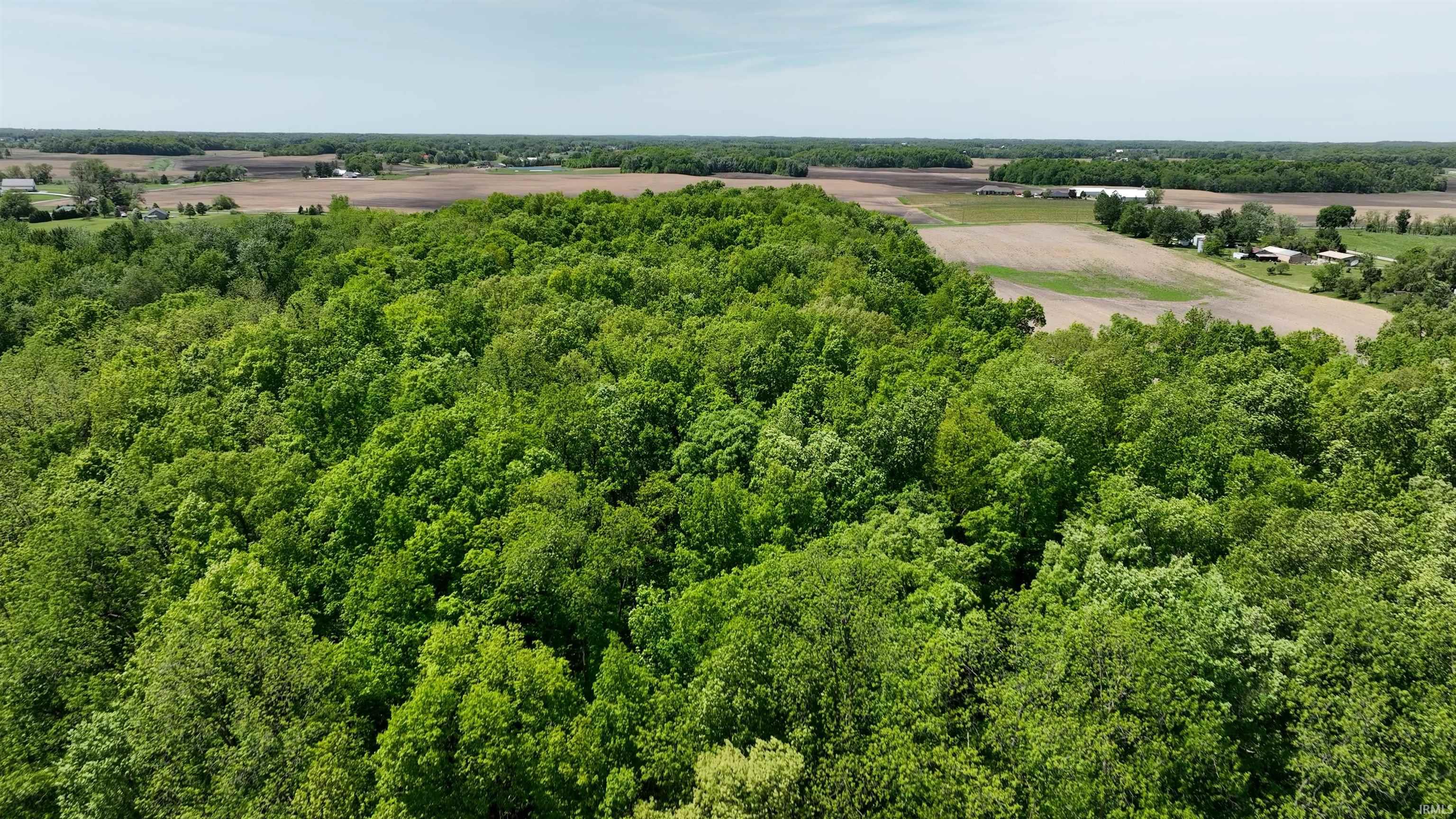 450 East S Road Laotto, IN 46763 - Photo 6 of 10