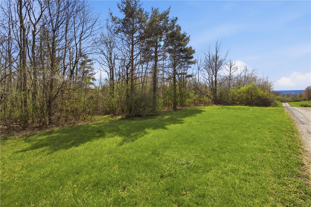 2555 A Willett Rd Extension Jerusalem, NY 14478 - Photo 22 of 29