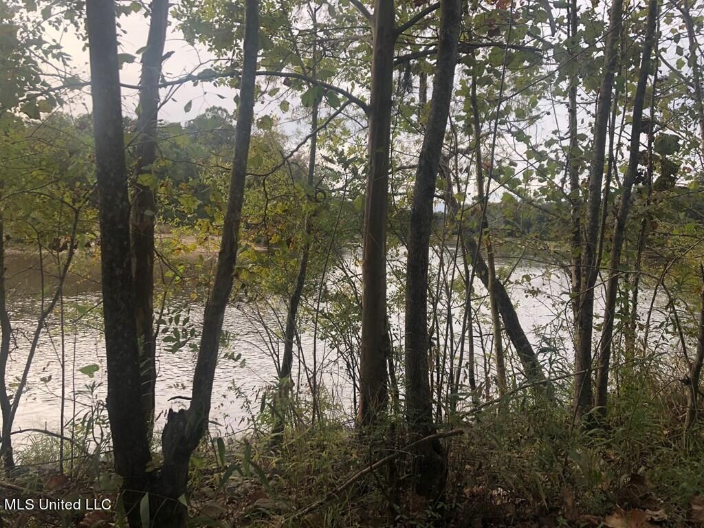 103 Riverside Drive Picayune, MS 39466 - Photo 16 of 28 176261_7