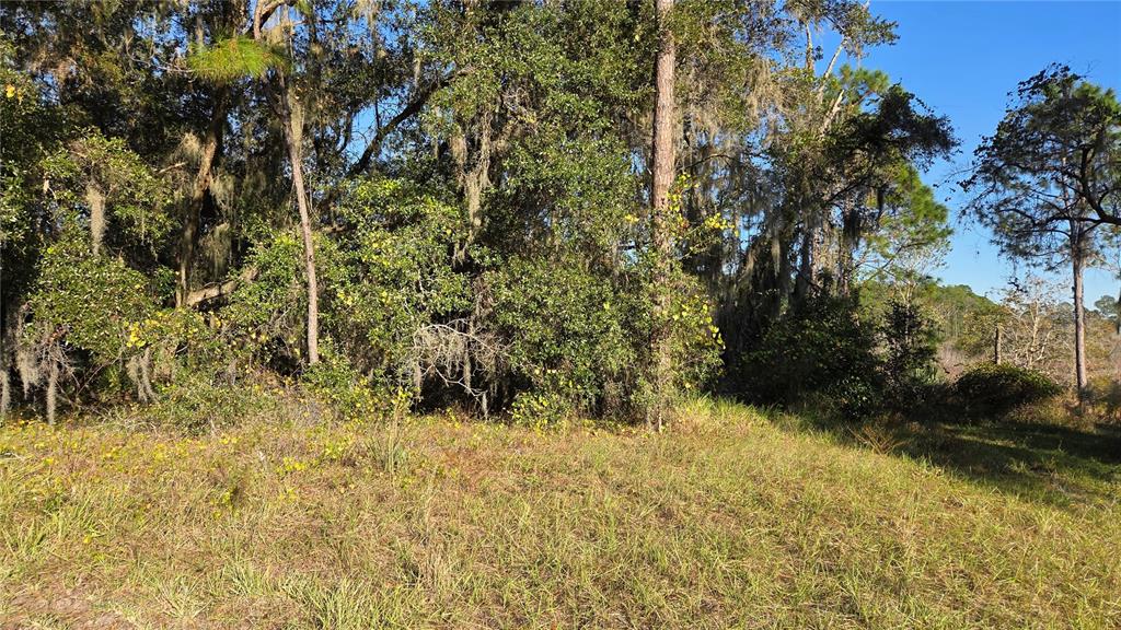 3009 Parma Drive Deltona, FL 32738 - Photo 3 of 6 Gallery Image 3
