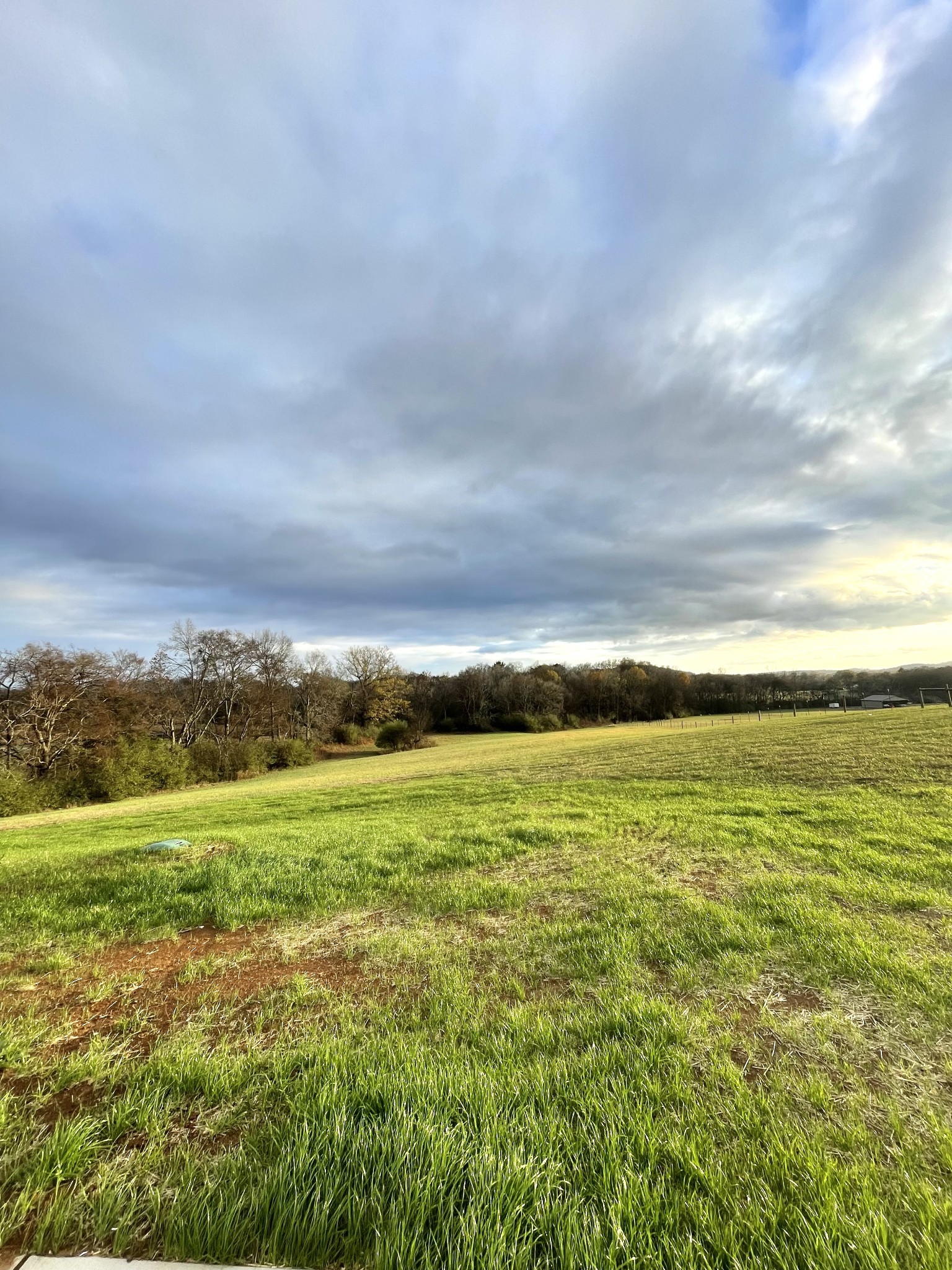 168 Haley Road Wartrace, TN 37183 - Photo 54 of 56