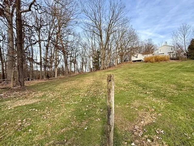 a view of yard with tree