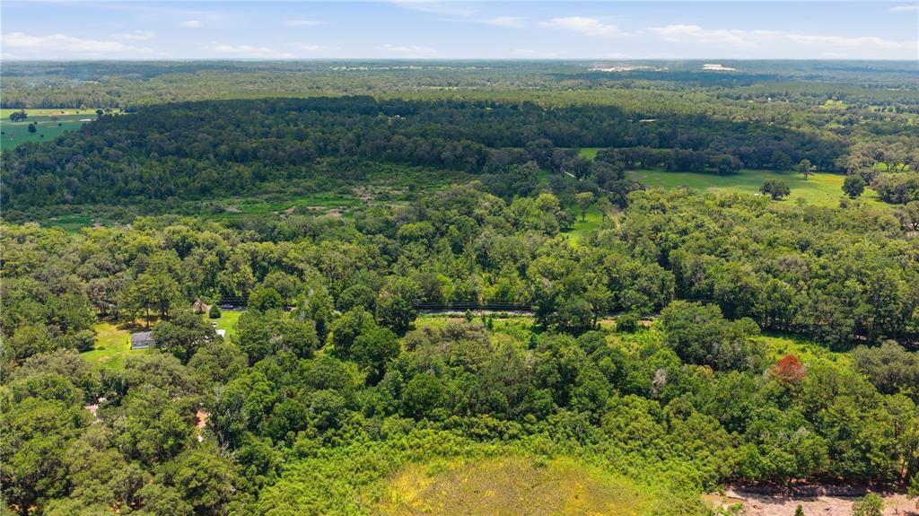 17400 Northwest 120th Ave Road Reddick, FL 32686 - Photo 37 of 37