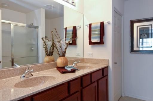 927 Oak Ridge Boulevard Elgin, IL 60120 - Photo 8 of 10 a bathroom with a granite countertop sink a mirror and shower
