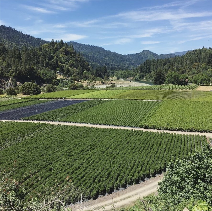 2172 Patterson Road Willow Creek, CA 95573 - Photo 2 of 3 a view of grassy field with mountain