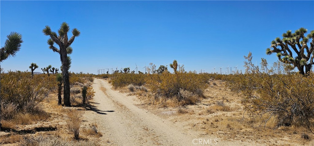 0 Forty Fifth Street West Mojave, CA 93501 - Photo 5 of 6 a view of a dry yard with a tree