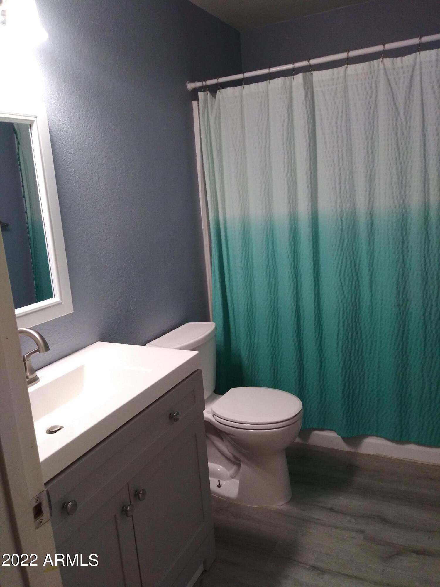 3239 South Conestoga Road Apache Junction, AZ 85119 - Photo 13 of 38 Hall Bath 1
