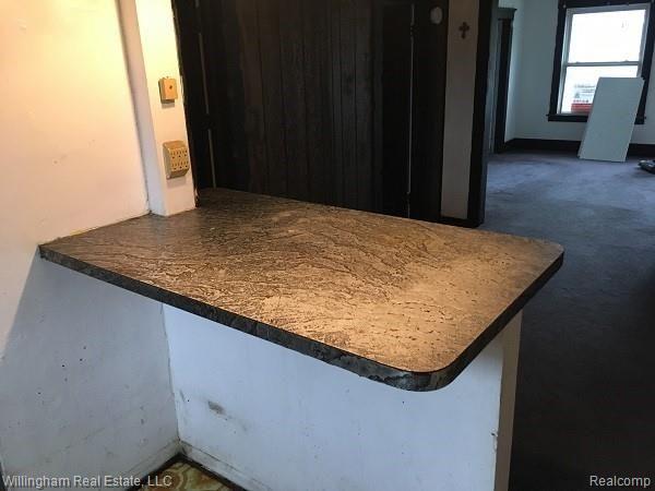 89 Pine Street River Rouge, MI 48218 - Photo 5 of 18 Kitchen counter unit 1.jpg
