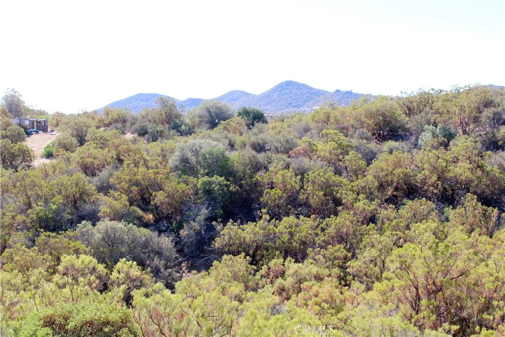 52 Trails End Lane Anza, CA 92539 - Photo 7 of 18 a view of a mountain in the distance in a field