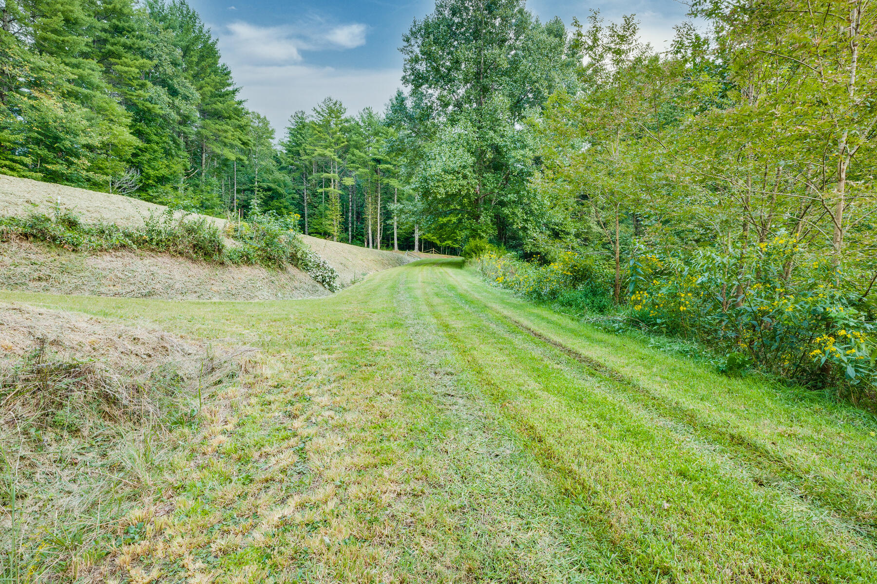 Lot 19 Racoon Circle, Unit 19A Butler, TN 37640 - Photo 3 of 23 102