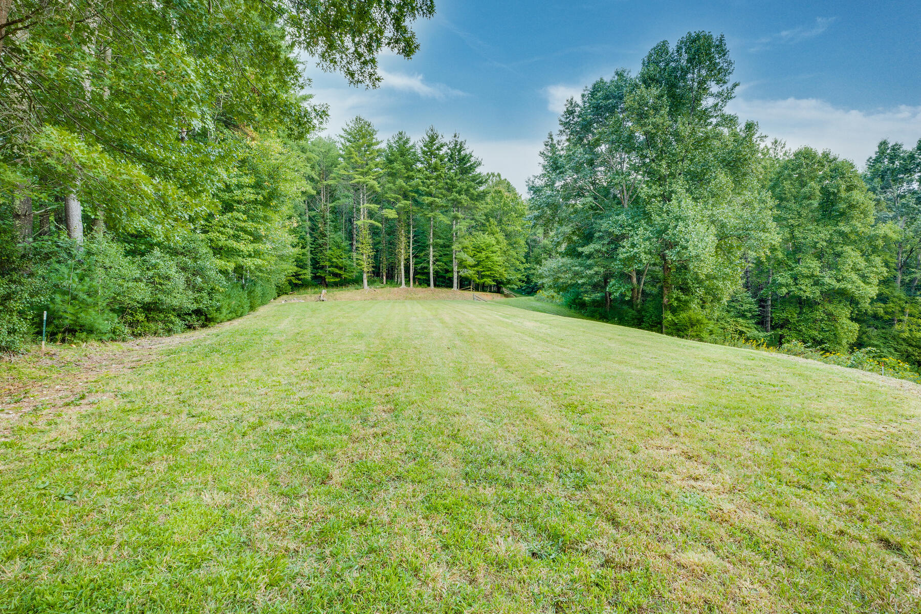 Lot 19 Racoon Circle, Unit 19A Butler, TN 37640 - Photo 4 of 23 103