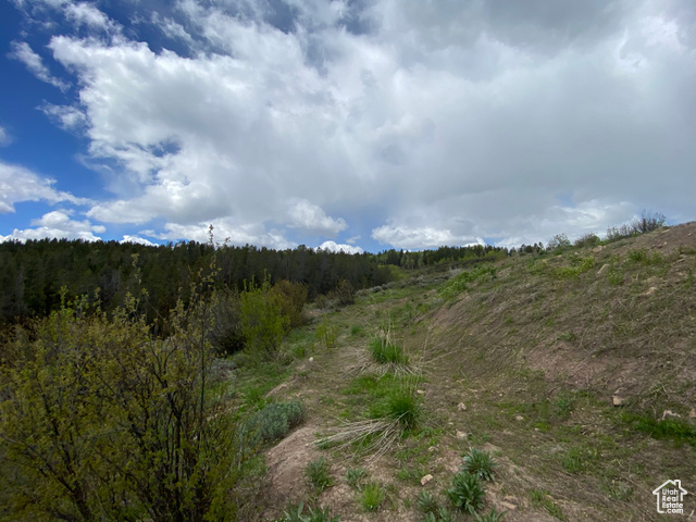 41 Grouse Loop Road, Unit 41 Freedom, WY 83120 - Photo 10 of 33 View of tree filled area