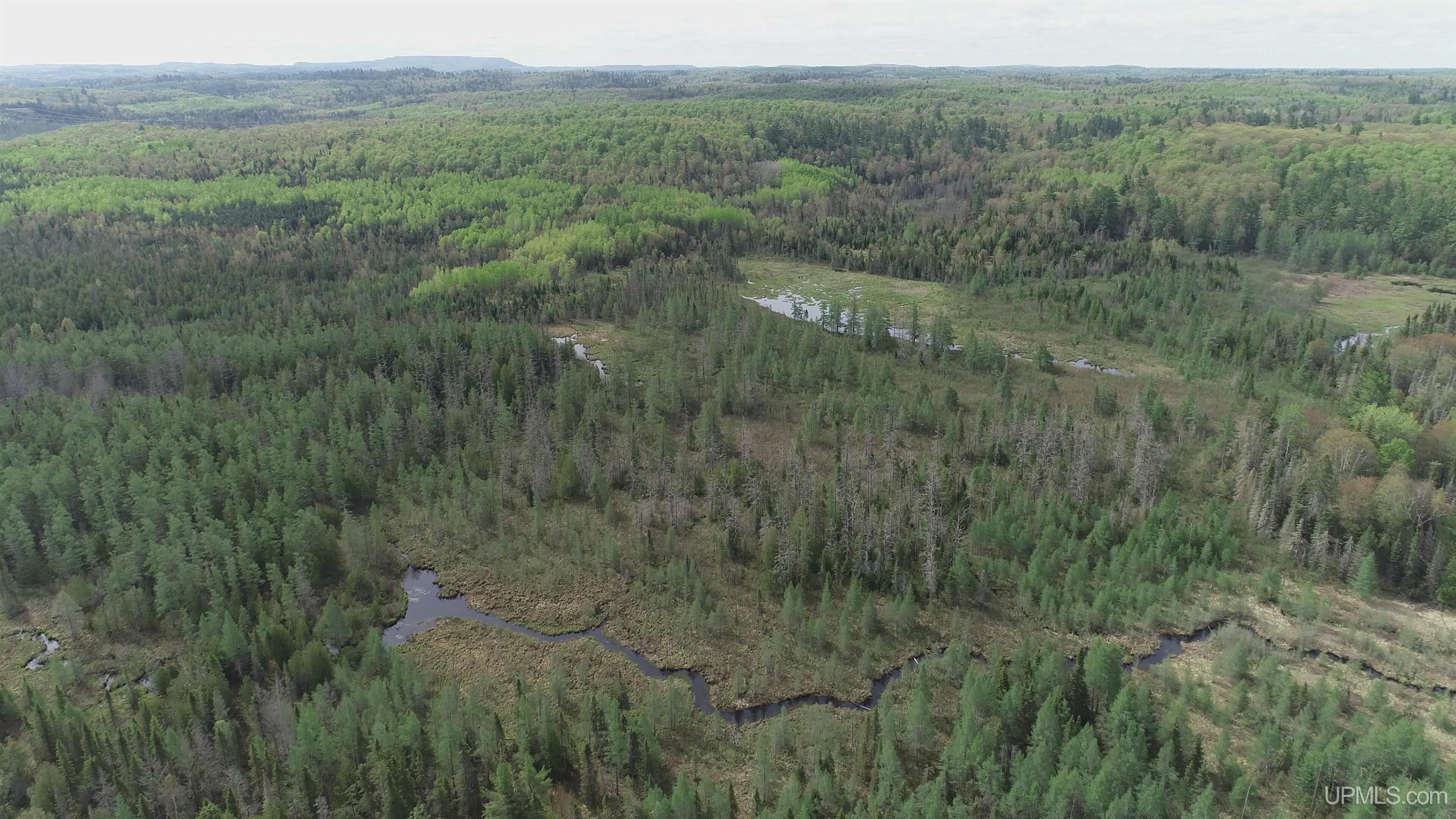 280-acres County Road CCN Road Negaunee, MI 49866 - Photo 5 of 48