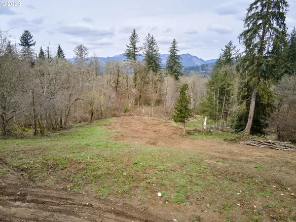 $449,000 | 13500 Northeast 406th Street, Amboy, WA 98601