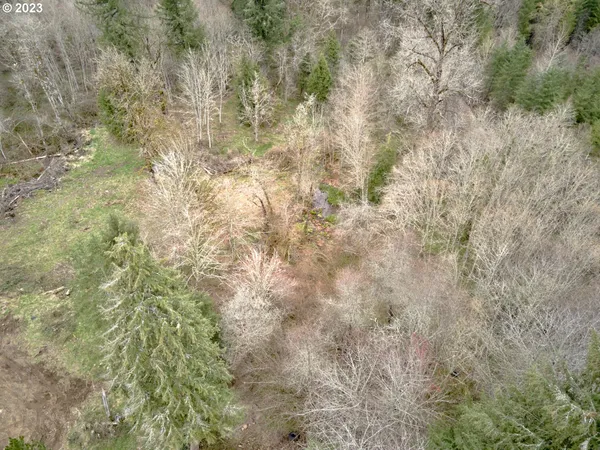 $449,000 | 13500 Northeast 406th Street, Amboy, WA 98601
