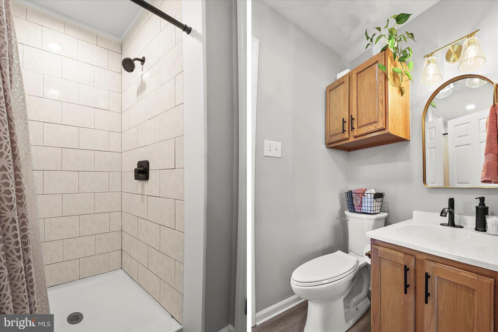 202 Plunkert Road Littlestown, PA 17340 - Photo 22 of 46 a bathroom with a sink a toilet and a mirror