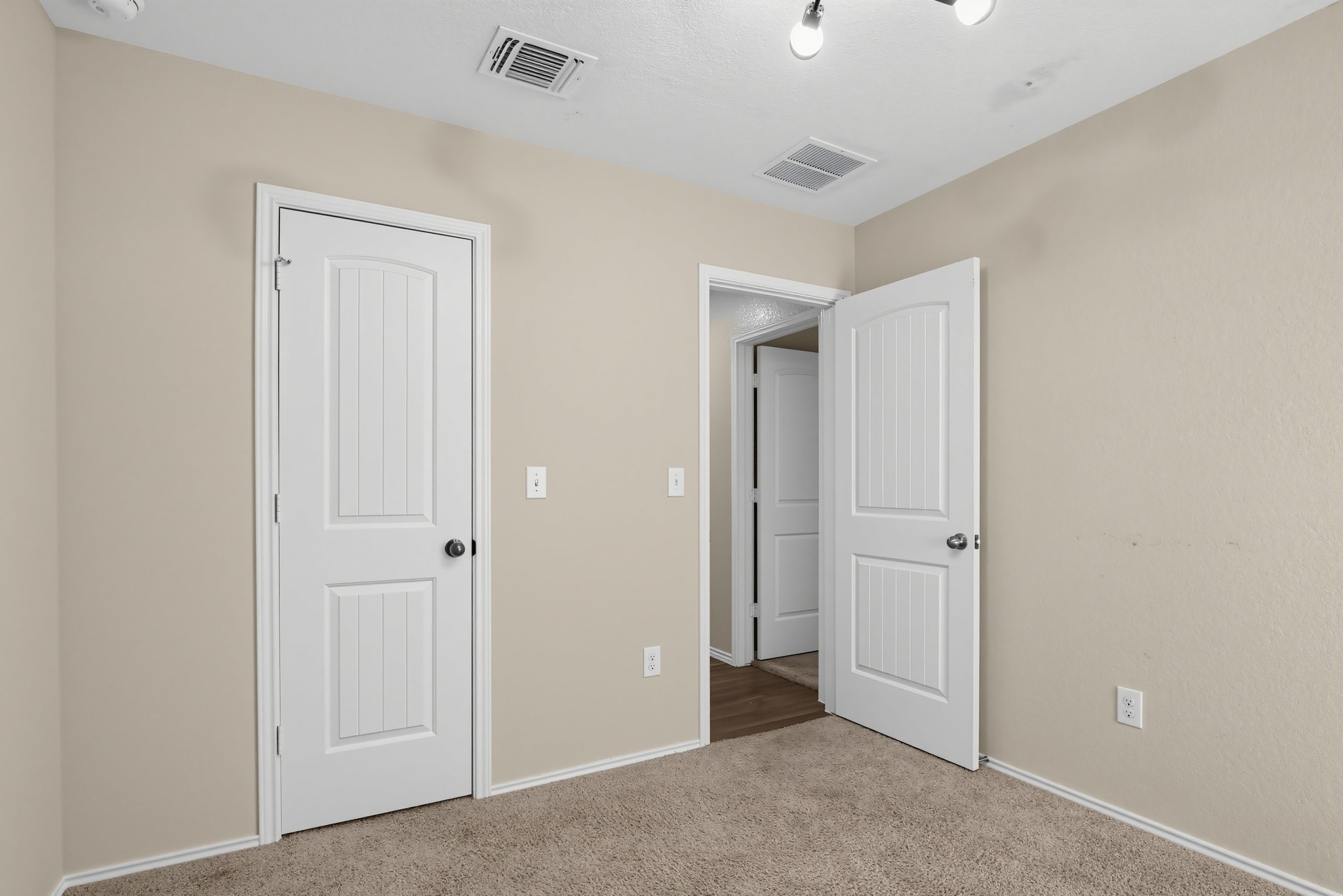 11810 Pyrite Road Manor, TX 78653 - Photo 35 of 38 A quiet bedroom features plush carpeting and classic paneled doors opening to the hallway.