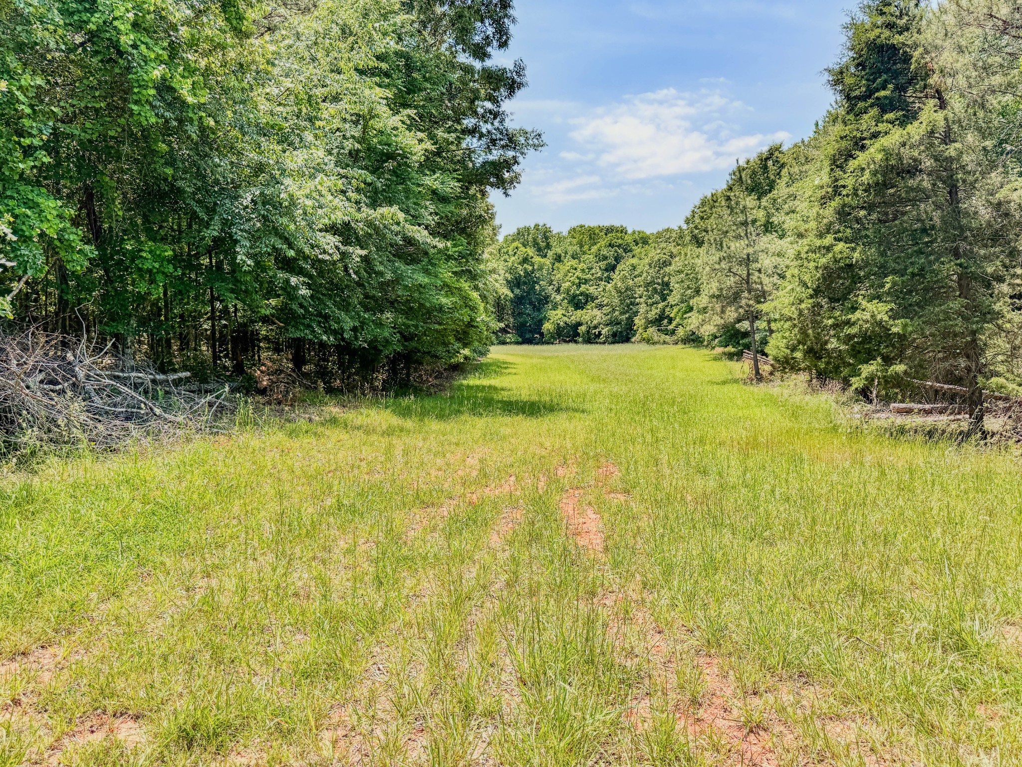0 Johnson Road Lutts, TN 38471 - Photo 4 of 68 Gallery Image 4