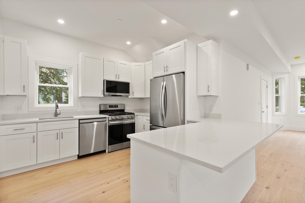 79 Maple Street, Unit 2 Boston, MA 02136 - Photo 7 of 18 Gallery Image 7