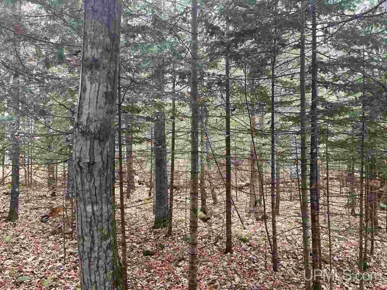 Tbd North Little Traverse Road Lake Linden, MI 49945 - Photo 13 of 17