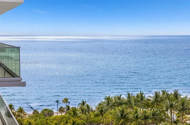 a view of a garden with plants