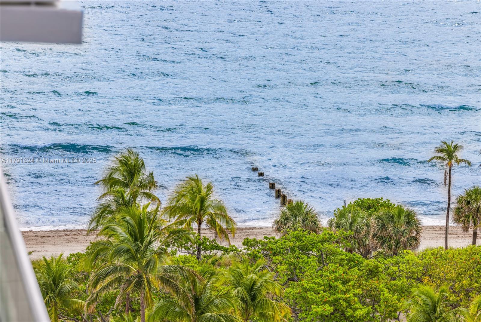 9801 Collins Avenue, Unit 17R Bal Harbour, FL 33154 - Photo 40 of 46 a view of a garden with plants