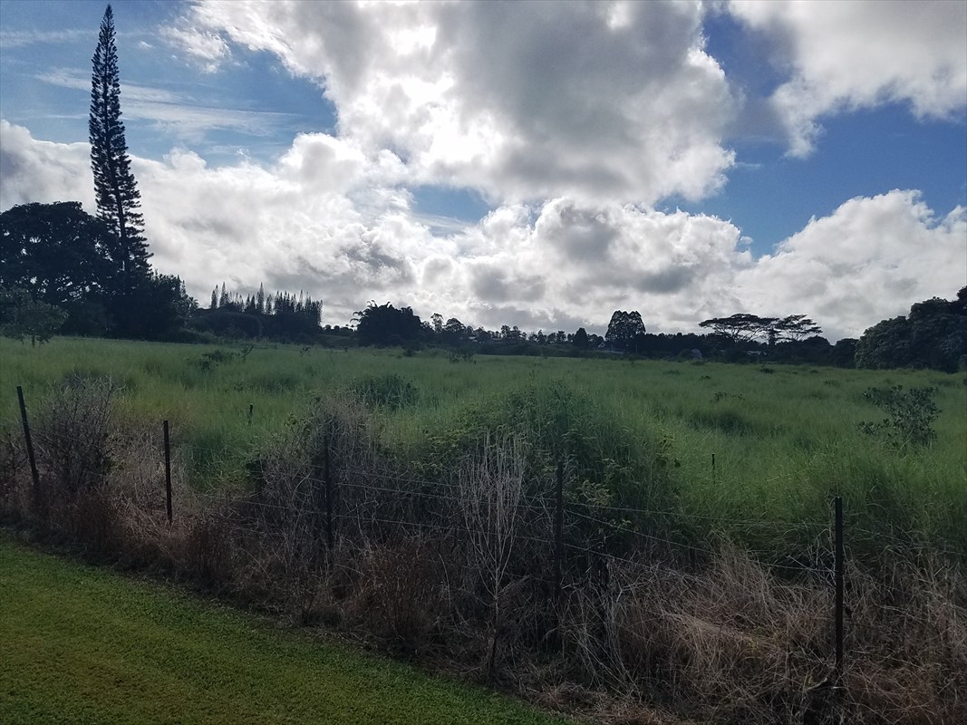 356 Lot 3 Malaai Road Hilo, HI 96720 - Photo 3 of 8