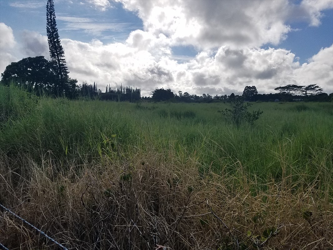 356 Lot 3 Malaai Road Hilo, HI 96720 - Photo 4 of 8 a view of a garden with a bench