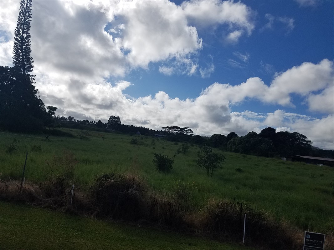 356 Lot 3 Malaai Road Hilo, HI 96720 - Photo 5 of 8 a view of a lake with a yard