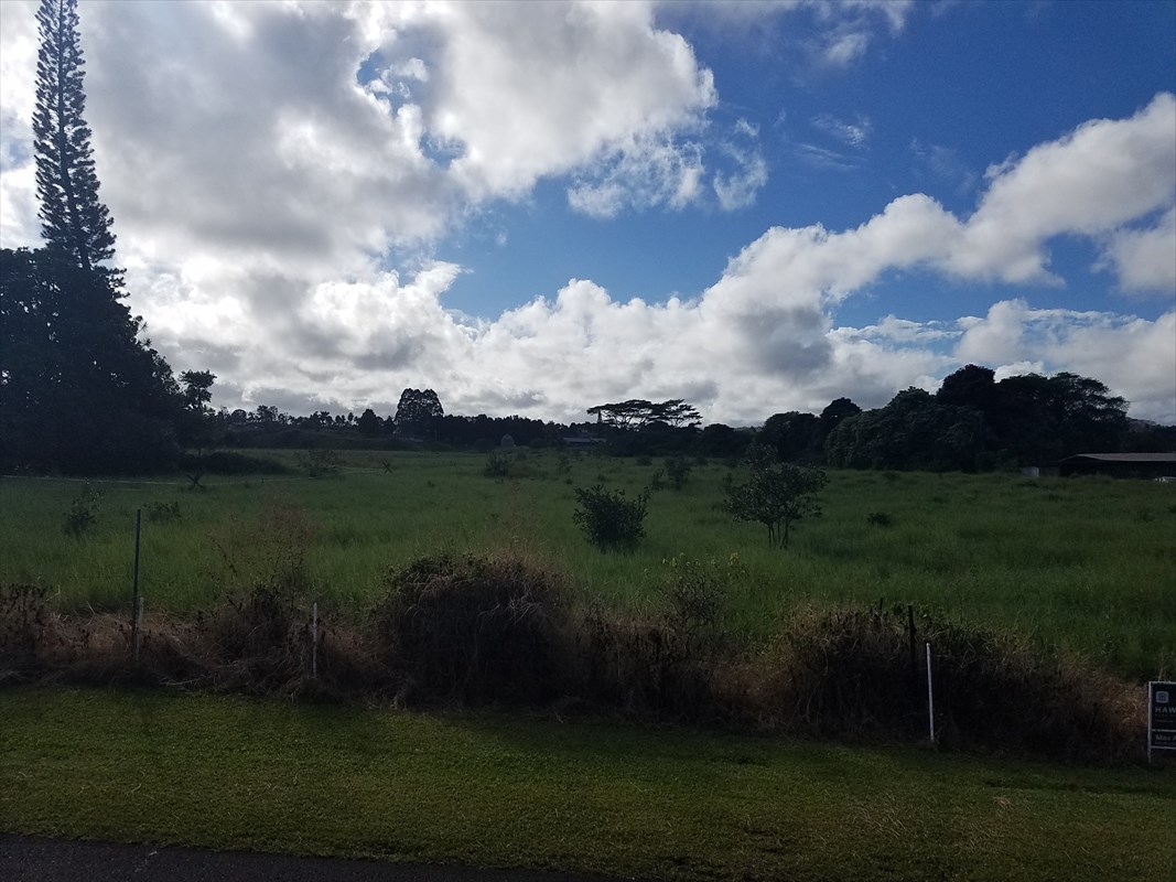 356 Lot 3 Malaai Road Hilo, HI 96720 - Photo 7 of 8 a view of lake with green space