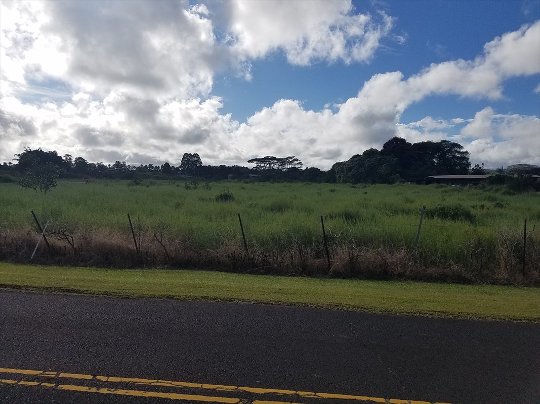 356 Lot 3 Malaai Road Hilo, HI 96720 - Photo 8 of 8 a view of a yard
