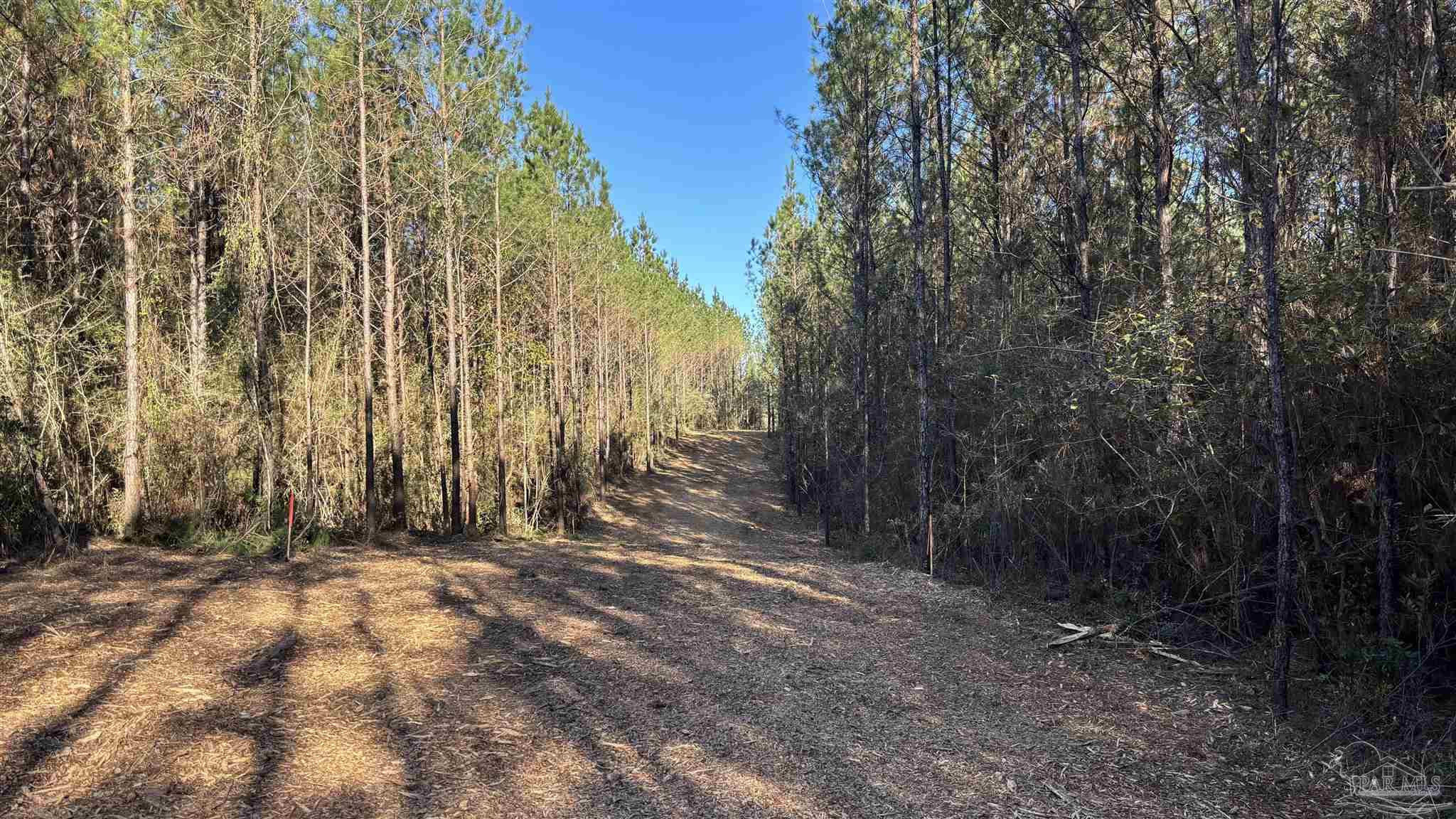 Lot 71 Straw Bridge Road Jay, FL 32565 - Photo 2 of 3