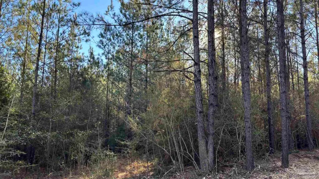 $120,000 | Lot 71 Straw Bridge Road, Jay, FL 32565