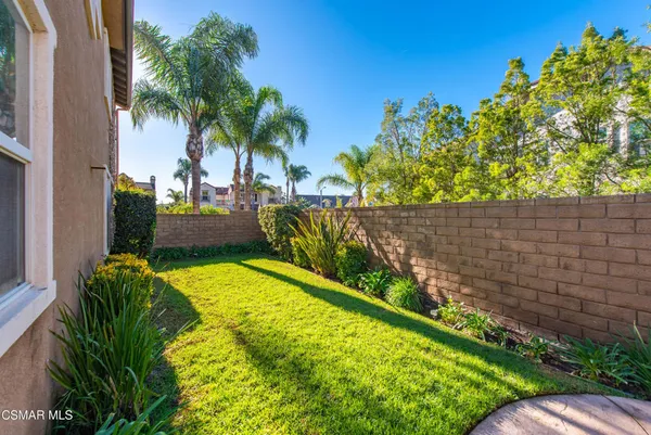 a view of a backyard with plants