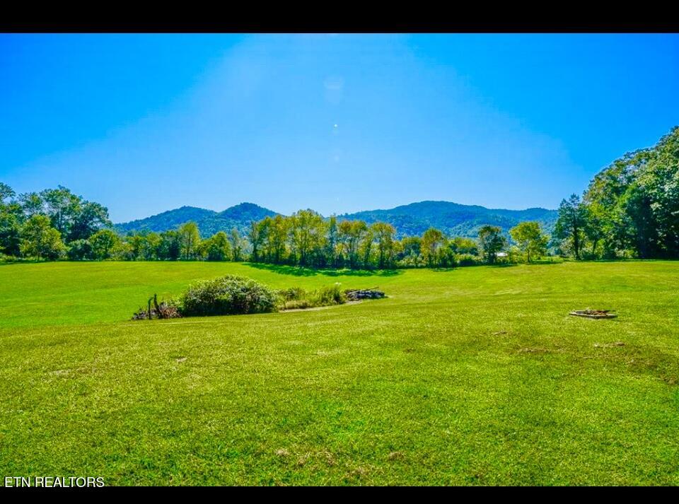 237 Myers Road Townsend, TN 37882 - Photo 3 of 7 Image 03