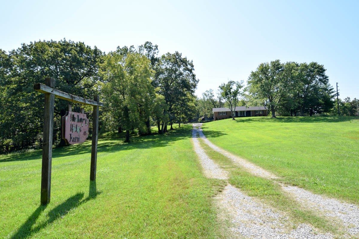 550 Hickory Ridge Road Gallatin, TN 37066 - Photo 3 of 45